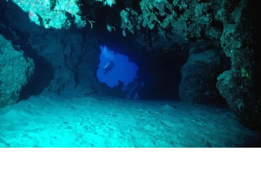 浅海